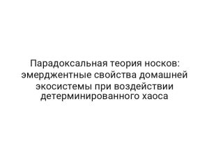 Парадоксальная теория носков: эмерджентные свойства домашней экосистемы при воздействии детерминированного хаоса